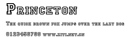 Princeton.ttf字體轉換器圖片
