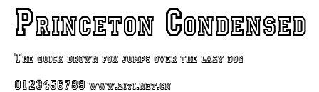 Princeton Condensed.ttf字體轉換器圖片