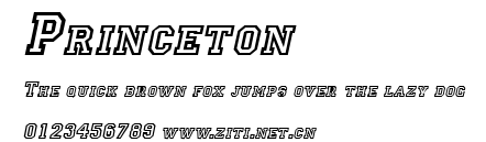 Princeton.ttf字體轉換器圖片