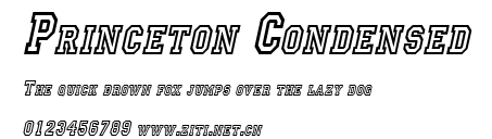 Princeton Condensed.ttf字體轉換器圖片