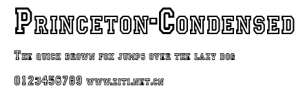 Princeton-Condensed.ttf字體轉換器圖片