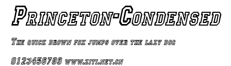Princeton-Condensed.ttf字體轉換器圖片