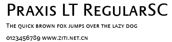 Praxis LT RegularSC.ttf字體轉換器圖片