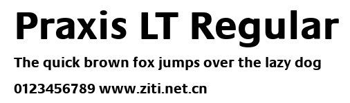 Praxis LT Regular.ttf字體轉換器圖片