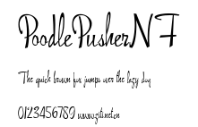 PoodlePusherNF.ttf字體轉換器圖片