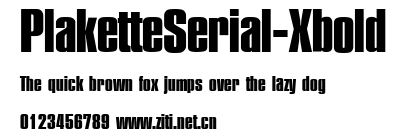 PlaketteSerial-Xbold.ttf字體轉換器圖片