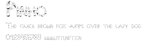 Pinho.ttf字體轉換器圖片