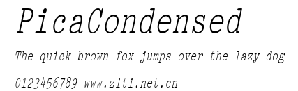 PicaCondensed.ttf字體轉換器圖片