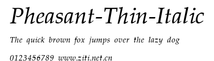 Pheasant-Thin-Italic.ttf字體轉換器圖片
