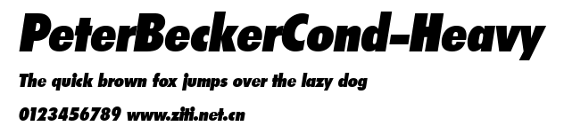 PeterBeckerCond-Heavy.ttf字體轉換器圖片