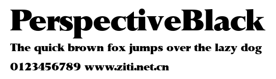 PerspectiveBlack.ttf