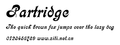 Partridge.ttf字體轉換器圖片