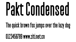 Pakt Condensed.ttf字體轉換器圖片