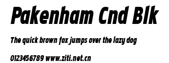 Pakenham Cnd Blk.ttf字體轉換器圖片