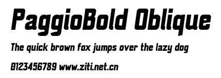 PaggioBold Oblique.ttf字體轉換器圖片