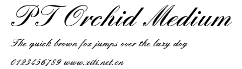 PT Orchid Medium.ttf字體轉換器圖片