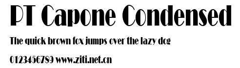 PT Capone Condensed.ttf字體轉換器圖片