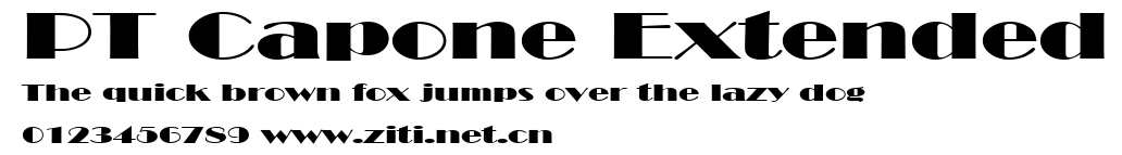 PT Capone Extended.ttf