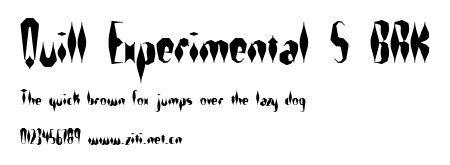 Quill Experimental S BRK.ttf字體轉換器圖片