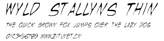 Wyld Stallyns Thin.ttf字體轉換器圖片
