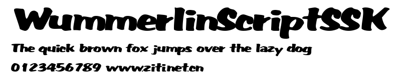WummerlinScriptSSK.ttf字體轉換器圖片