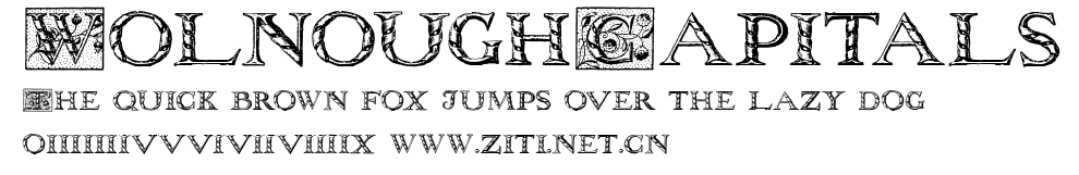 WolnoughCapitals.ttf字體轉換器圖片