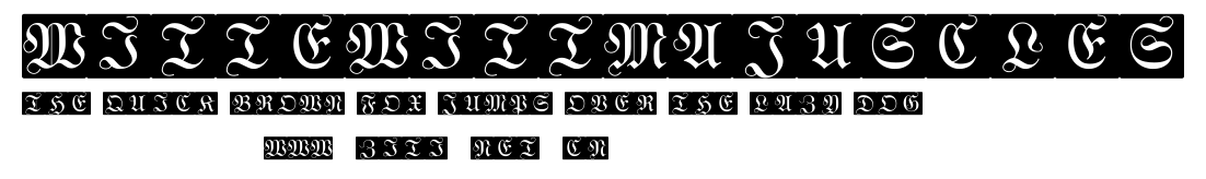WittewittMajuscles.ttf字體轉換器圖片