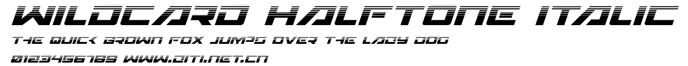 Wildcard Halftone Italic.ttf字體轉換器圖片