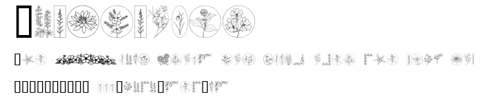 Wildflower.ttf字體轉換器圖片