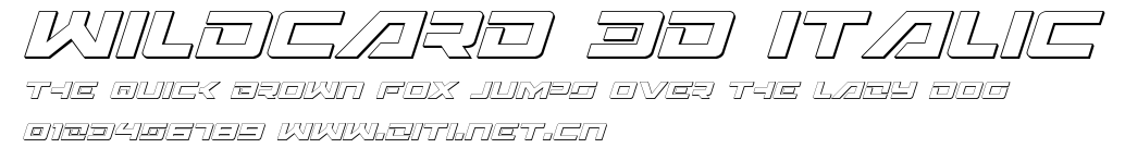 Wildcard 3D Italic.ttf字體轉換器圖片