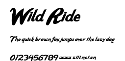 Wild Ride.ttf字體轉換器圖片