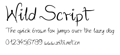 Wild Script.ttf字體轉換器圖片