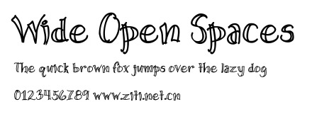 Wide Open Spaces.ttf字體轉換器圖片