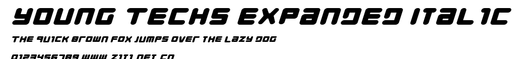 Young Techs Expanded Italic.ttf