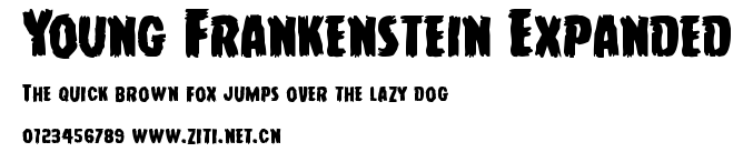 Young Frankenstein Expanded.ttf