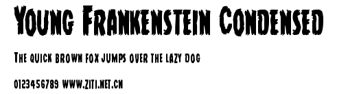 Young Frankenstein Condensed.ttf