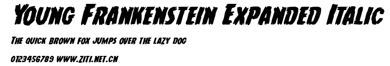 Young Frankenstein Expanded Italic.ttf