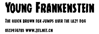 Young Frankenstein.ttf